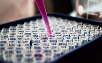 Badanie genetyczne po poronieniach