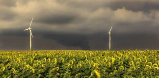 Jaka jest najpopularniejsza kolejność zapłonu w silniku 6 cylindrowym?