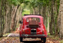 Ile pali fiat siena 12? Ile pali fiat siena 12?