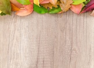 Jak blisko granicy działki można postawić domek narzędziowy?