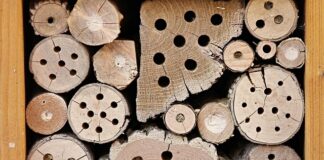 Ile kosztuje zimowanie jachtu?