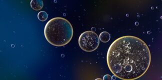 Ile oleju VW Sharan?