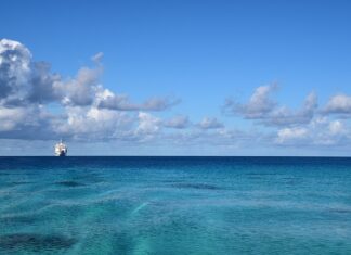 Jakie markizy kupić?