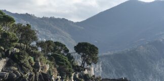 Ile kosztuje nowy silnik do samochodu?