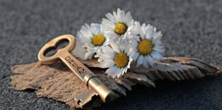 Jak otworzyć awaryjnie klapę?