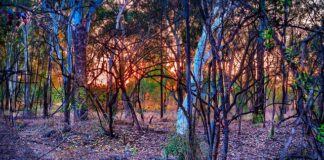 Czy swap silnika jest trudny?