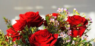 Ile kosztuje najdroższy Harley Davidson?