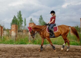 Czym się różni kojec od łóżeczka turystycznego?