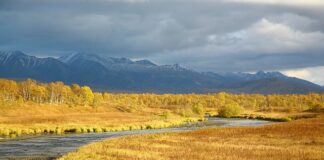 Jak jeździć po torze?